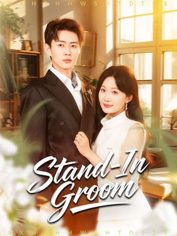 Stand-In Groom poster